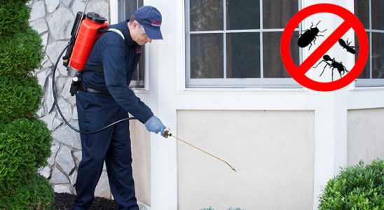 Kumlu Pire İlaçlama böcek ilaçlama ve haşere kontrolü — ilaclama-tr.com